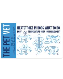 Veterinary Refrigerator Magnets 2x3.5