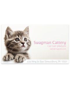 Cat Care Fridge Magnets 2x3.5