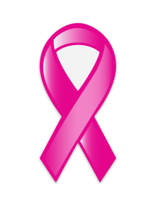 Breast Cancer Awareness Pink Ribbon Magnet 3.75x8