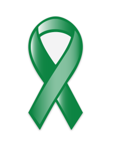 Liver Cancer Awareness Green Ribbon Magnet 3.75x8