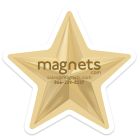 Star Shaped Magnet 3x3.125
