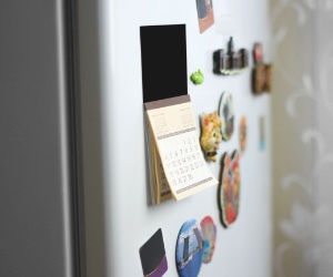 Healthcare Magnets